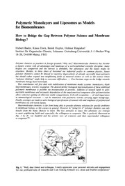 Polymer Membranes for Fuel Cells Cover Image