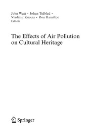 The Effects of Air Pollution on Cultural Heritage Cover Image