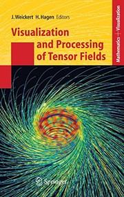 Visualization and Processing of Tensor Fields Cover Image