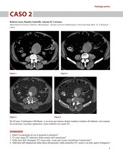 Imaging nelle urgenze vascolari — Body Casi clinici  Cover Image