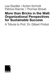 More than Bricks in the Wall: Organizational Perspectives for Sustainable Success Cover Image