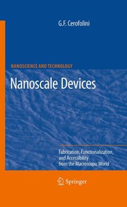Nanoscale Devices Fabrication, Functionalization, and Accessibility from the Macroscopic World  Cover Image