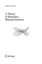 A Theory of Branched Minimal Surfaces Cover Image