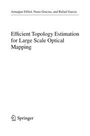 Efficient Topology Estimation for Large Scale Optical Mapping Cover Image