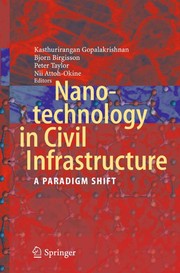 Nanotechnology in Civil Infrastructure A Paradigm Shift  Cover Image