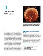 Molecular cell biology  Cover Image