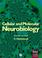 Go to record Cellular and molecular neurobiology