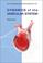 Go to record Dynamics of the vascular system